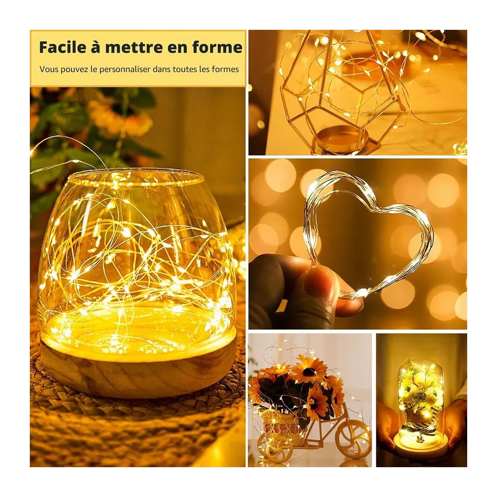 Lot de 12 Guirlande Lumineuse à piles, 2m 20 LEDs Guirlandes Lumineuses, Mini Guirlande LED à Pile étanche pour Bouteille, Mariage, Fête, Noël [Classe énergétique A]