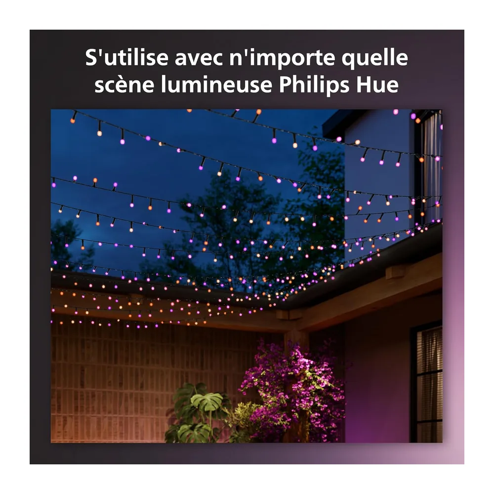 Philips Hue White and Color ambiance, Guirlande Lumineuse festive, 500LEDs, 40 mètres, fonctionne avec Alexa, Google Home et Apple Homekit