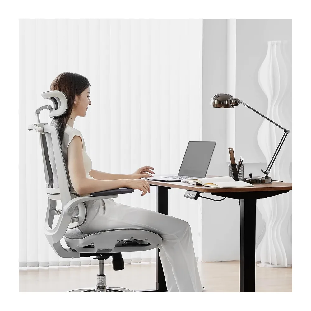 SIHOO M59AS Chaise Ergonomique, Double Dossier, Support Lombaire Adaptatif